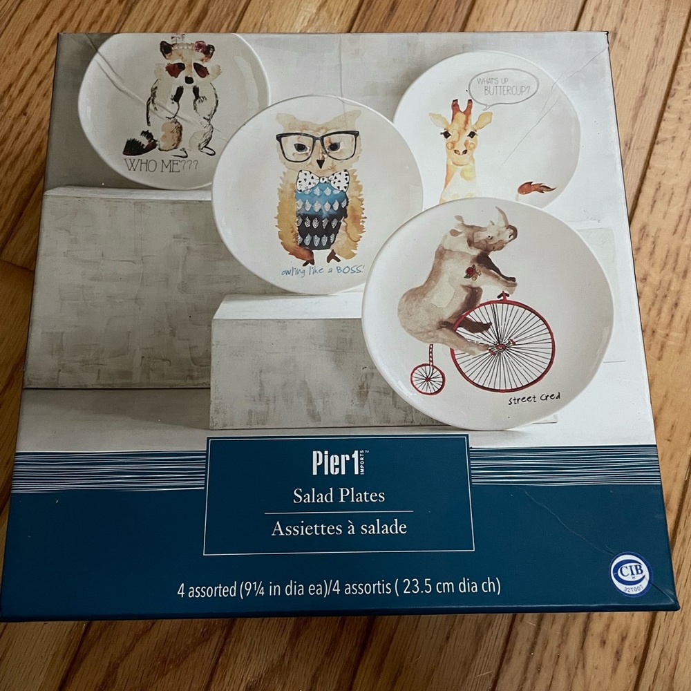 Pier 1 set of 4 salad plates. Perfect condition. Never used. Retired set
